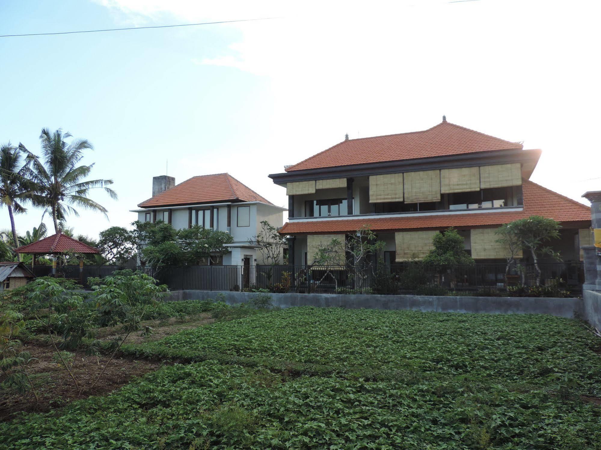 Duana'S Homestay Ubud Esterno foto