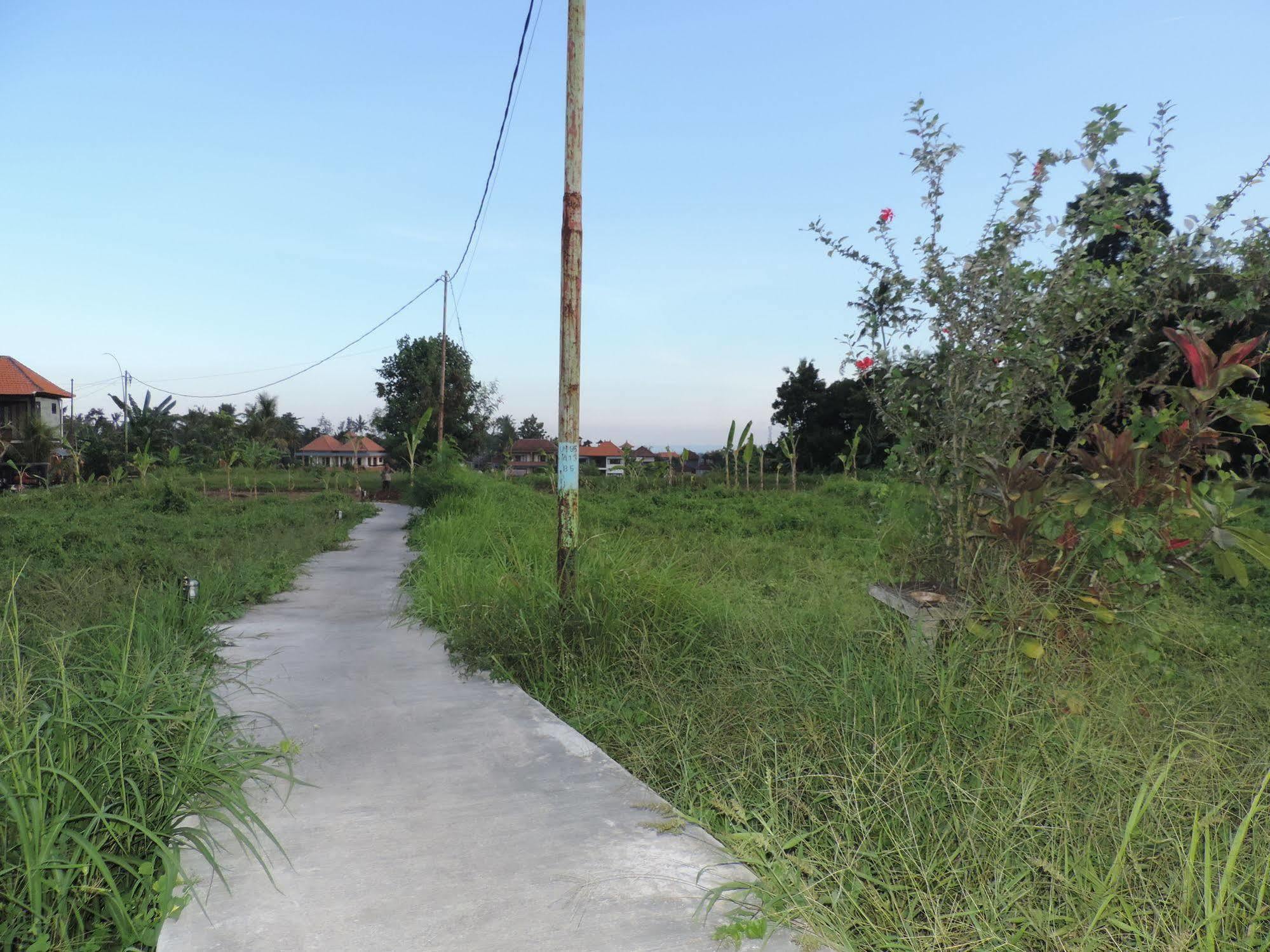Duana'S Homestay Ubud Esterno foto
